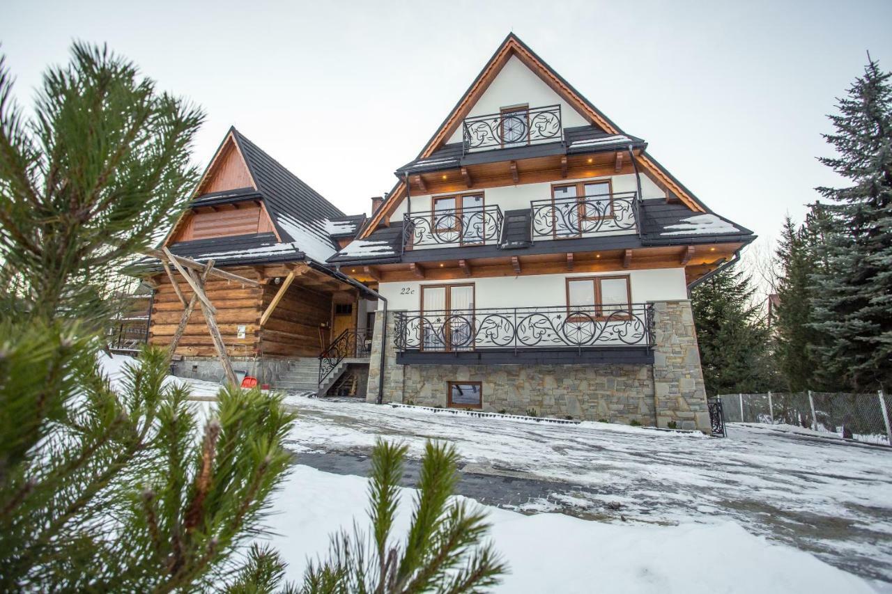 Willa Skalny Potok Zakopane Extérieur photo
