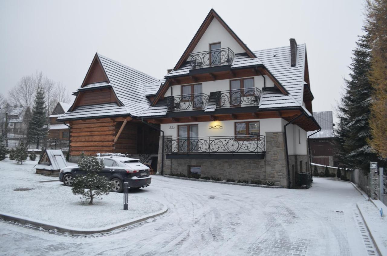 Willa Skalny Potok Zakopane Extérieur photo